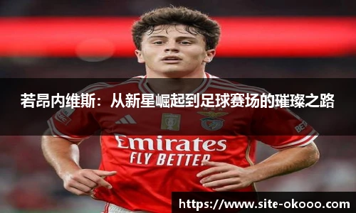 若昂内维斯：从新星崛起到足球赛场的璀璨之路